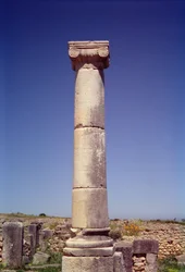 Ionic Column on the Decumanus Maximus